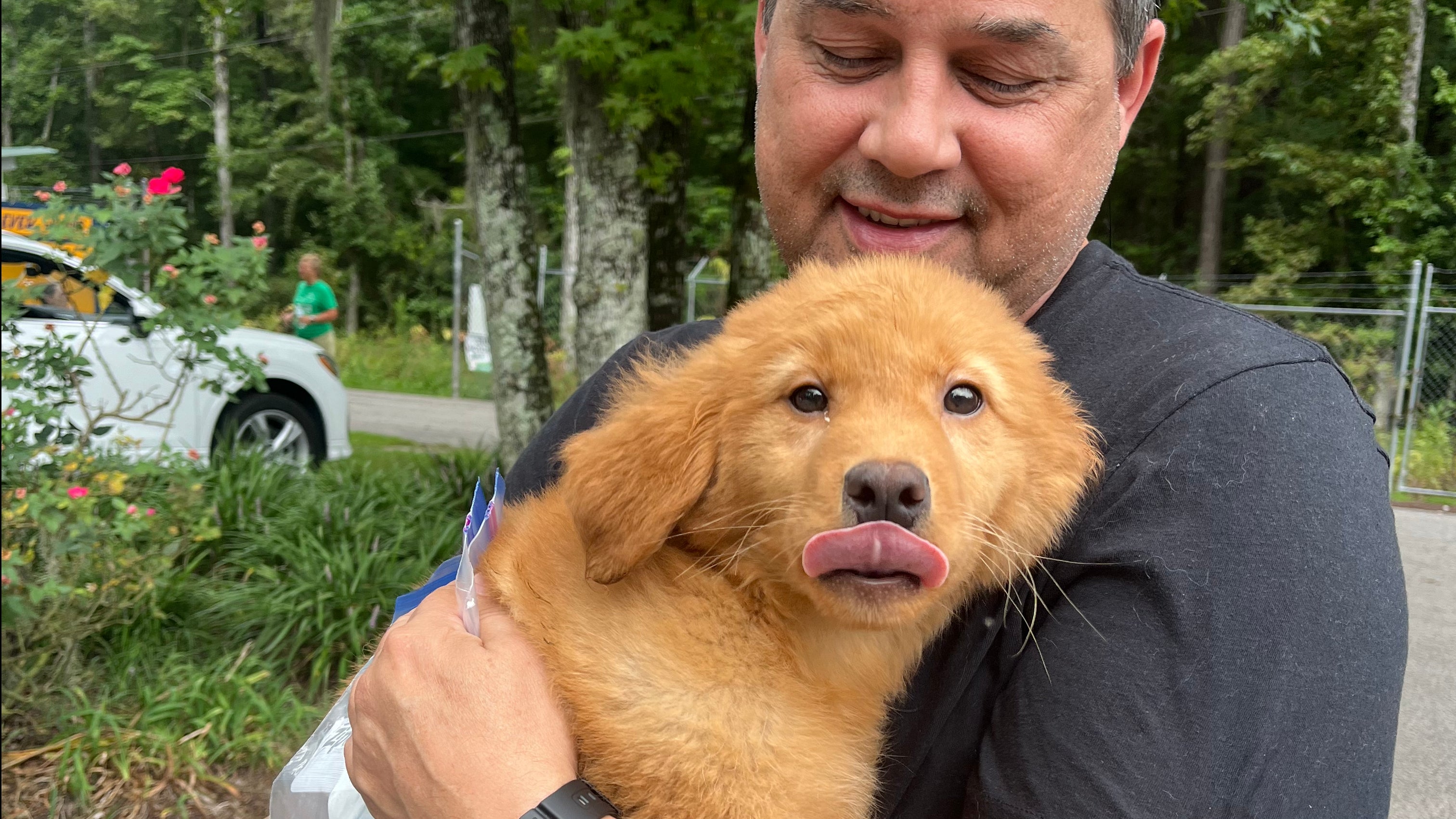 Strays Fleeing Tropical Weather Find Forever Homes